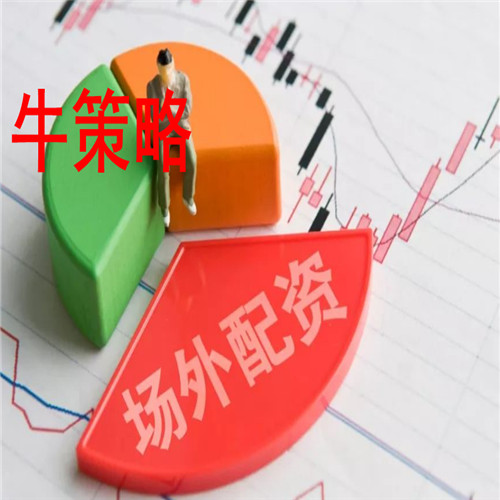 股息分红财政政策分析报告